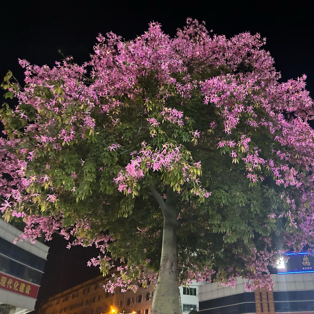 结果只有一个⚡️