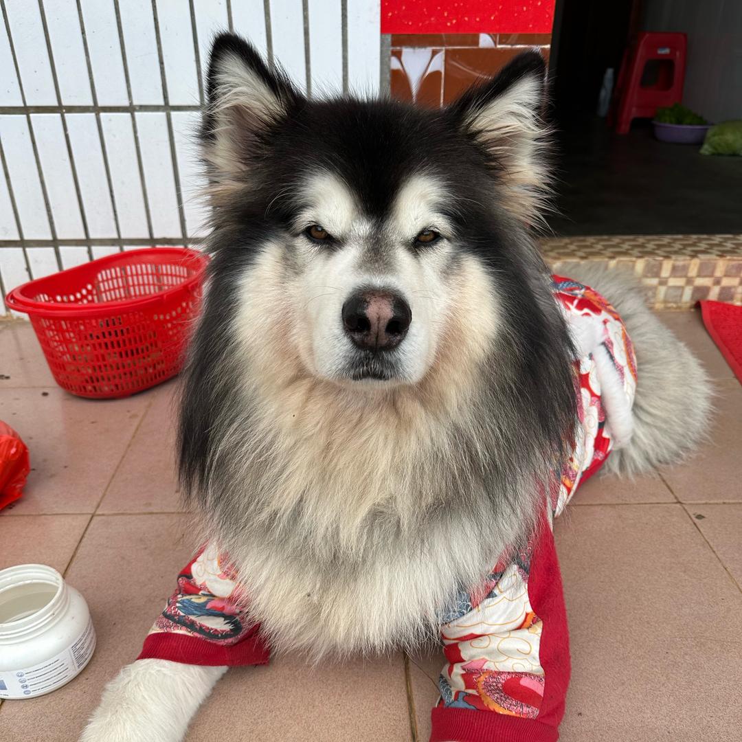 整点小薯条