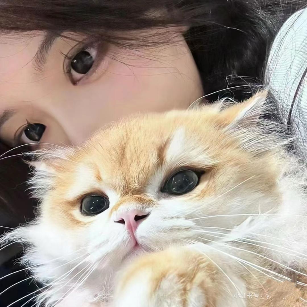 敏