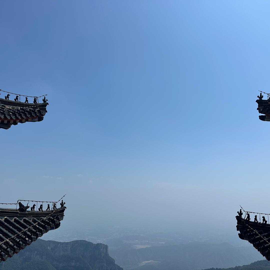 陈1
