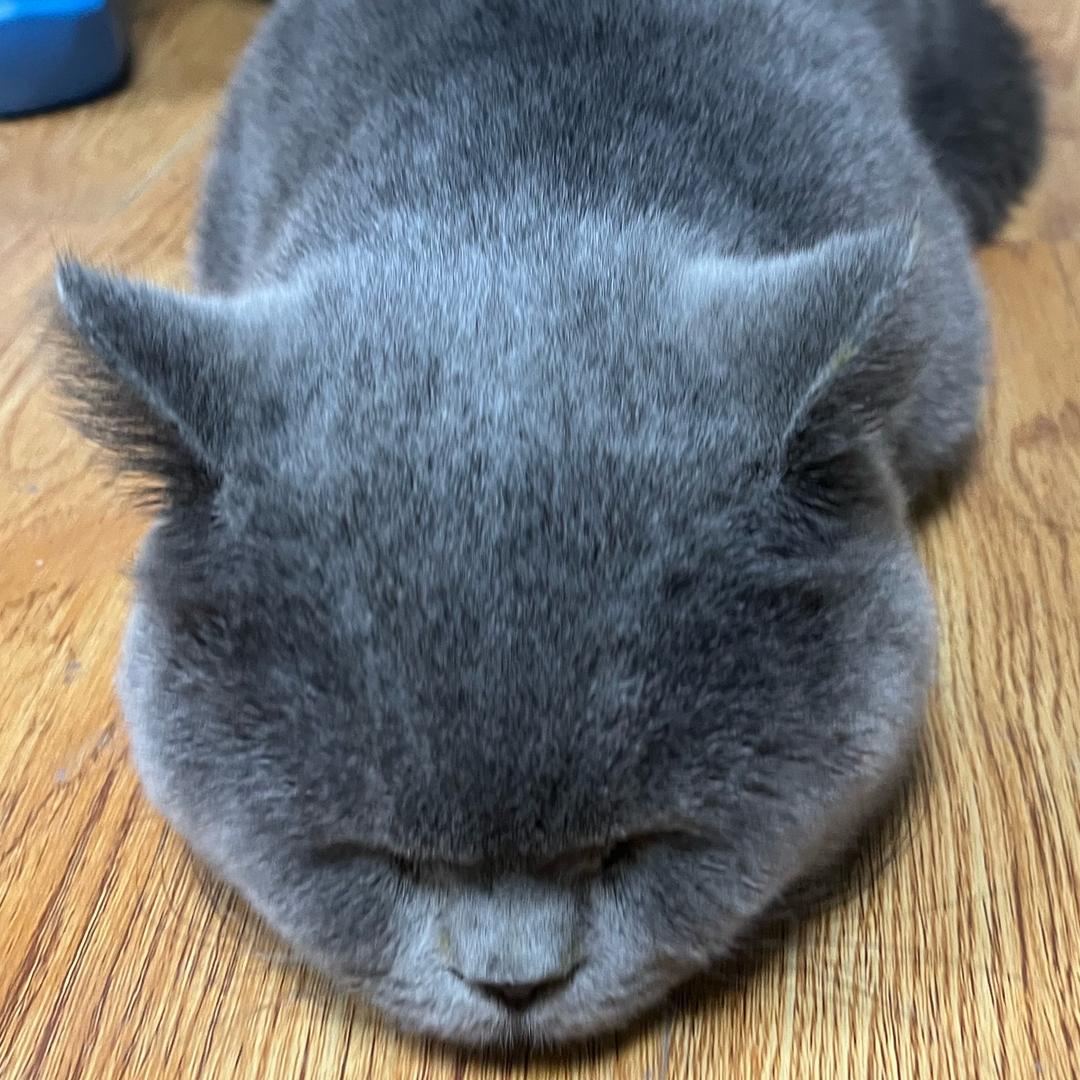 嗯 en恩en 恩N恩恩NN