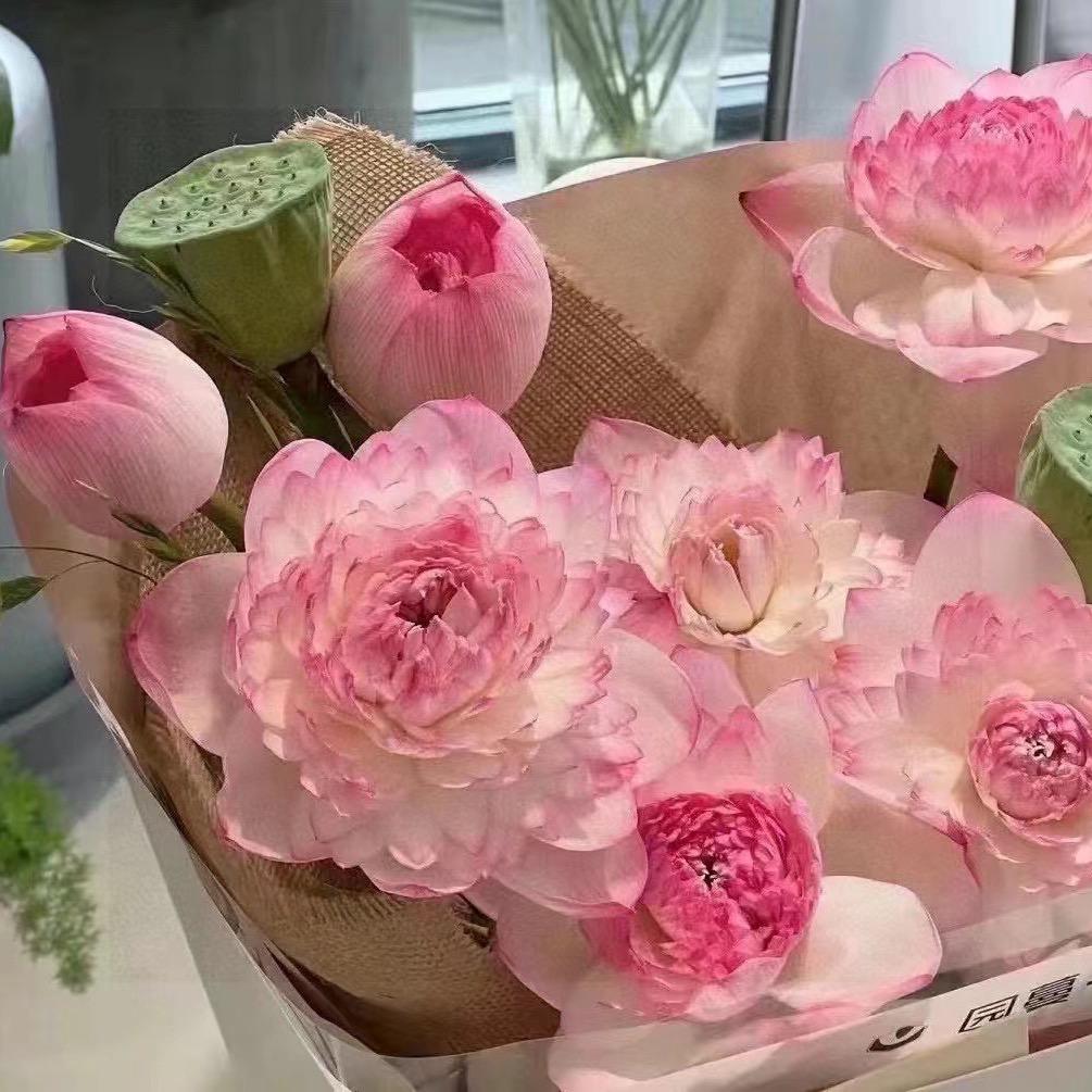 乌海市注释女装