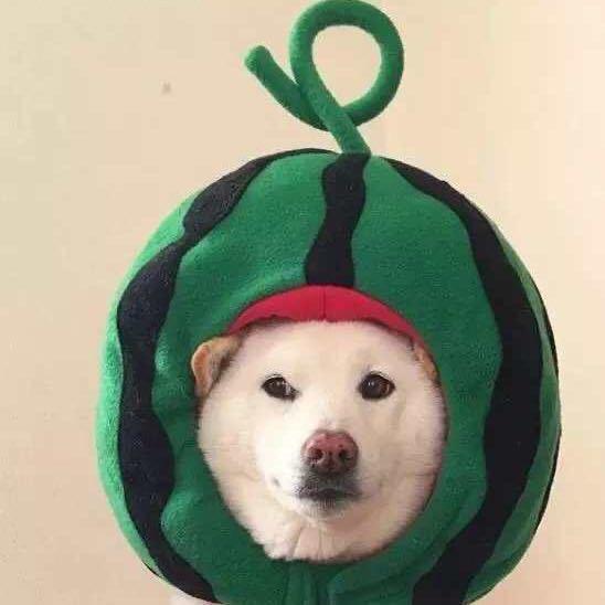 英利玛瑙（批发玛瑙手镯）