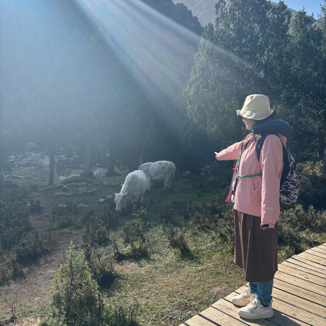 🌈💰钱钱来🌟💗