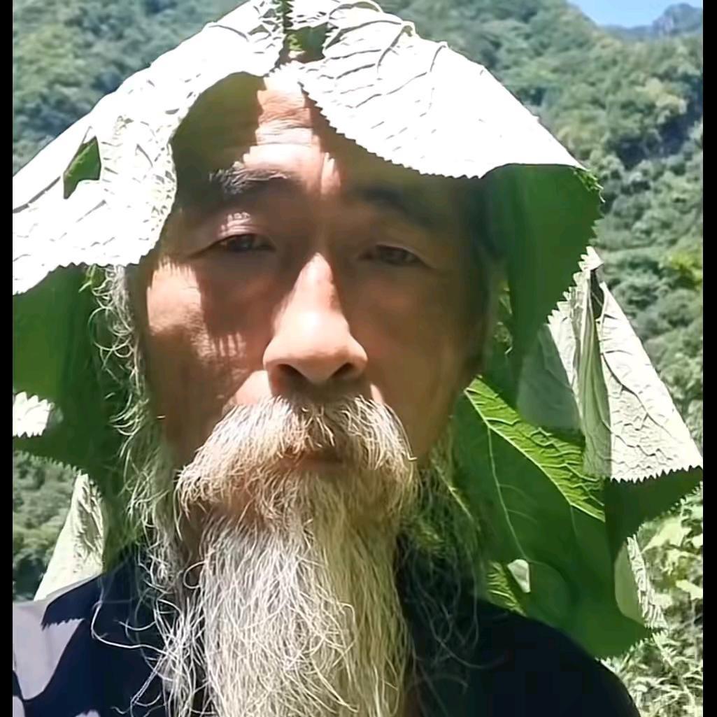 弹丸翻斗车