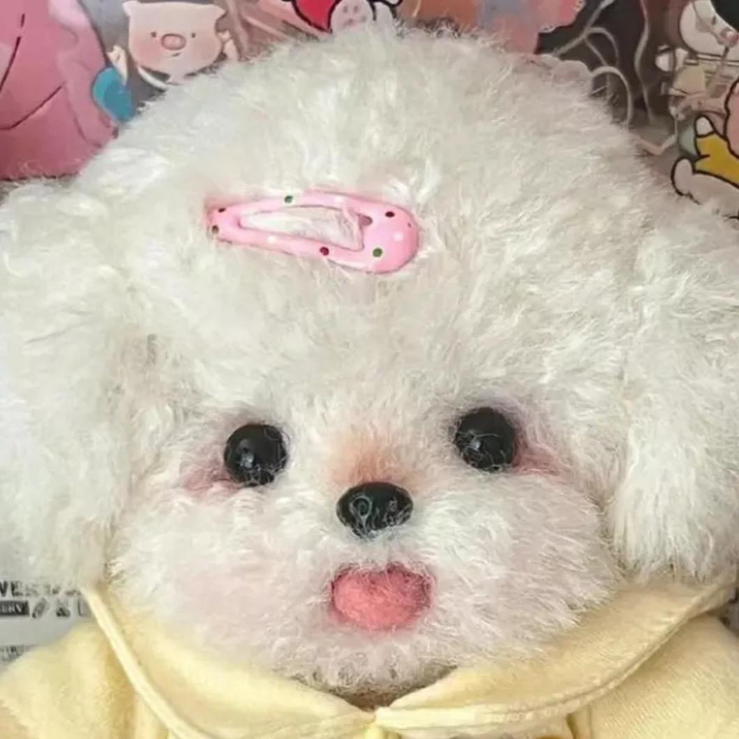 薇薇宝备