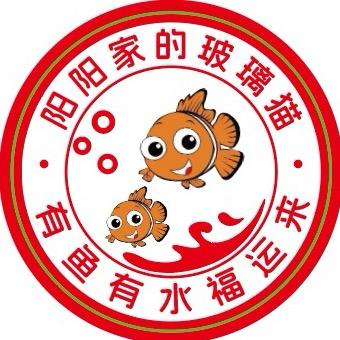 阳阳家的玻璃猫