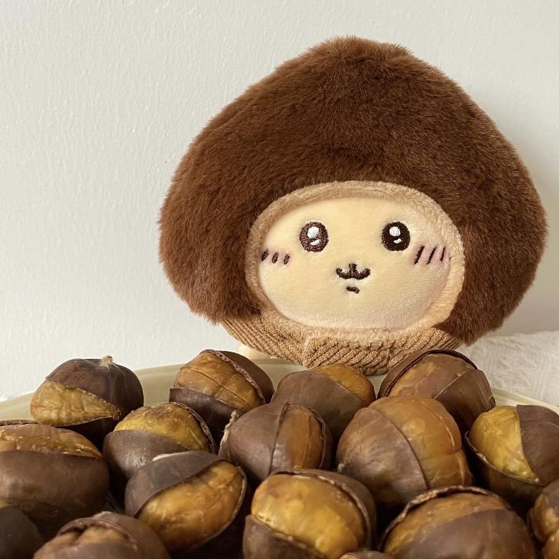 小狗烤栗子🌰
