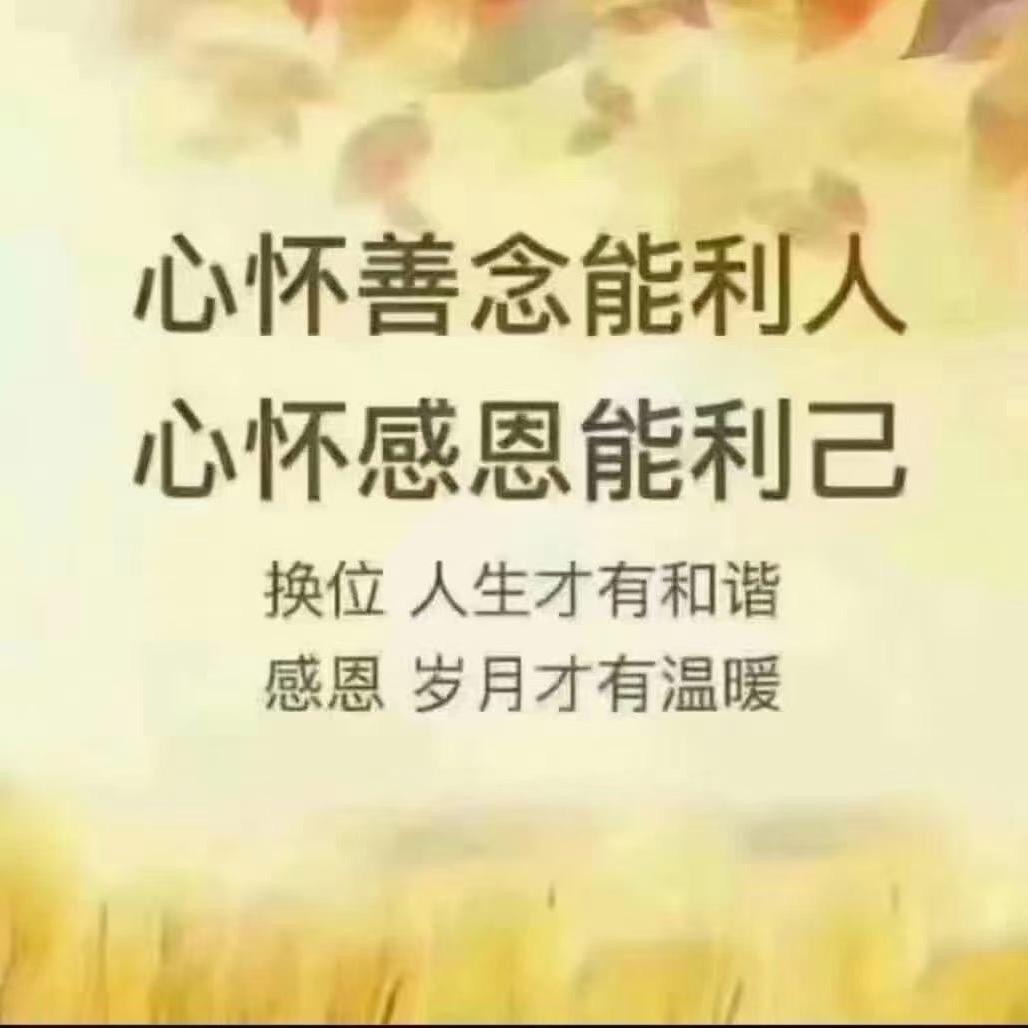 数易人生