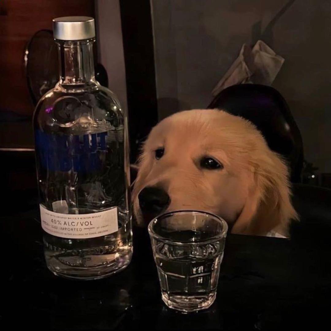 随安