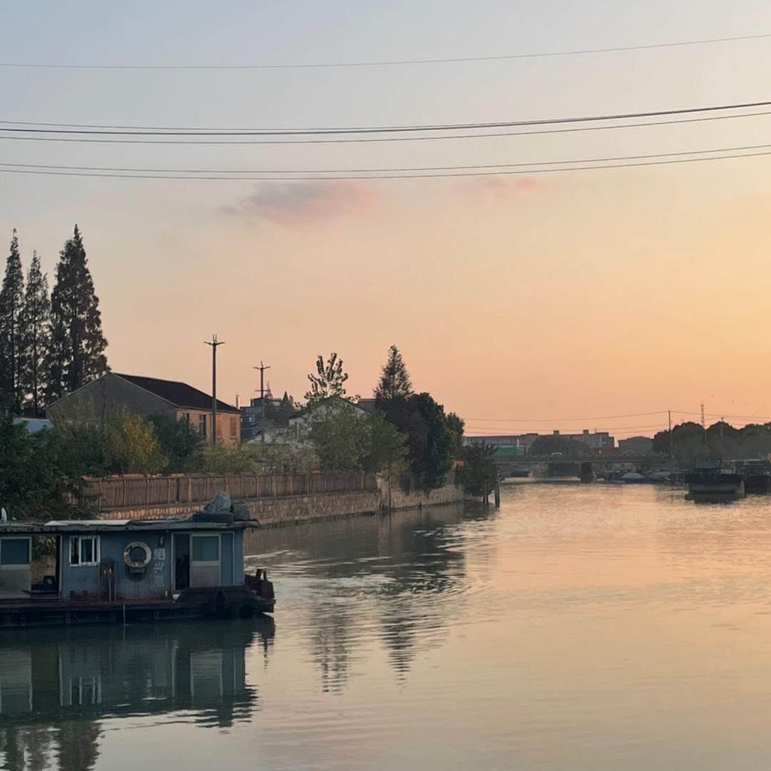 满山的猴子就我腚最红