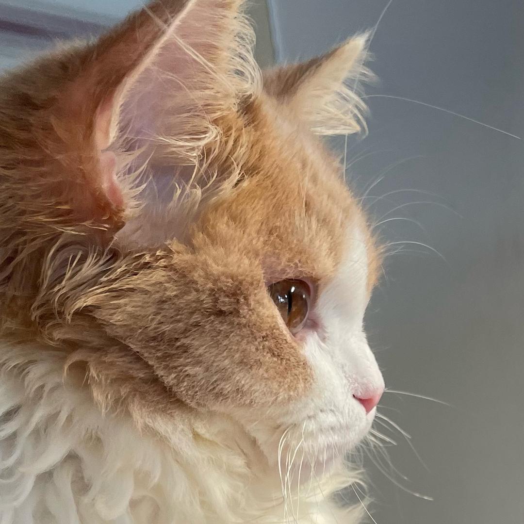 小王同学👩🏻‍🎓