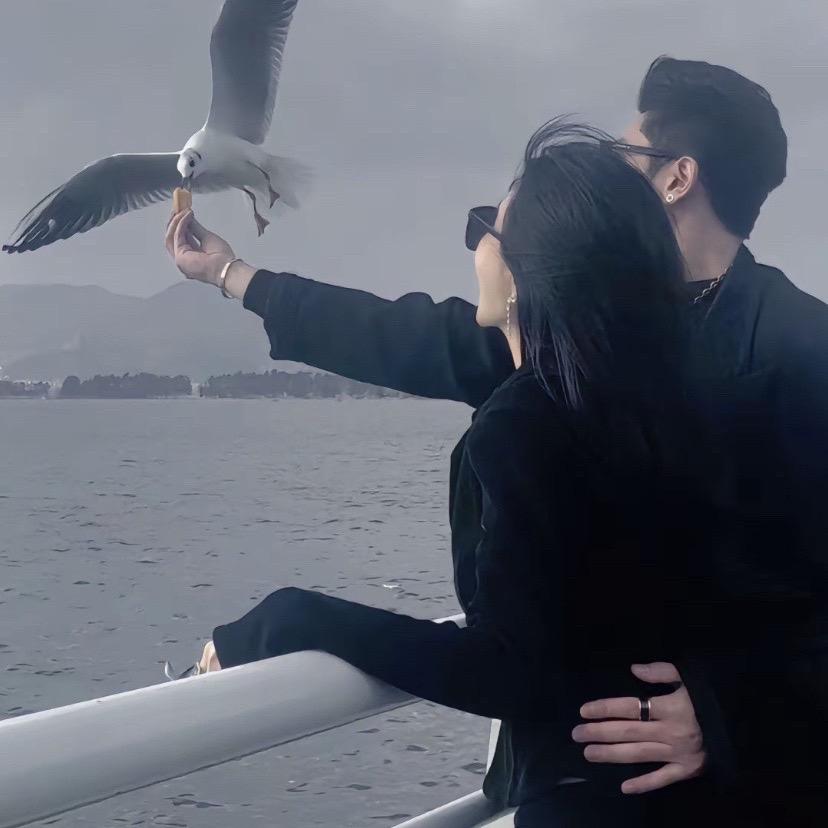 浅浅爱