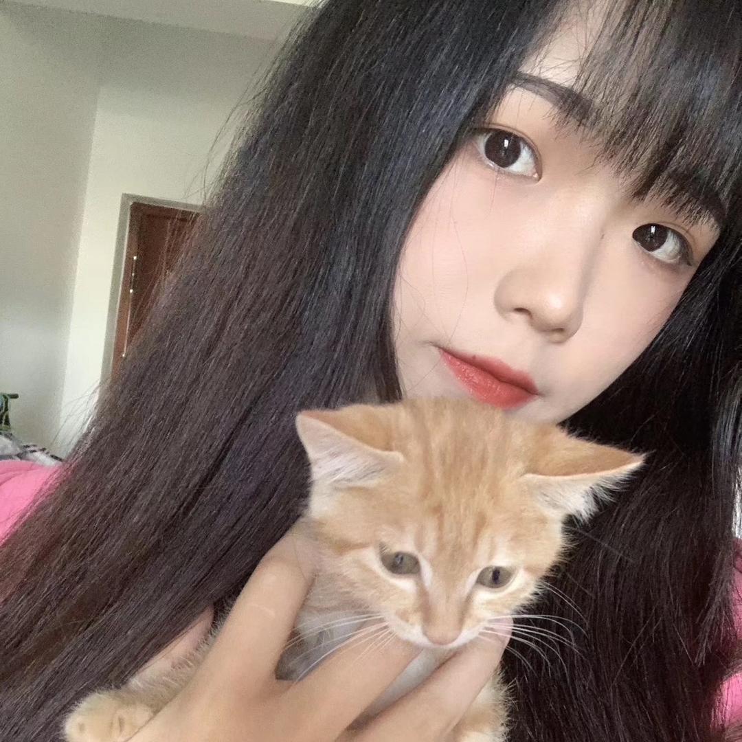 .小🐑失眠了🌙