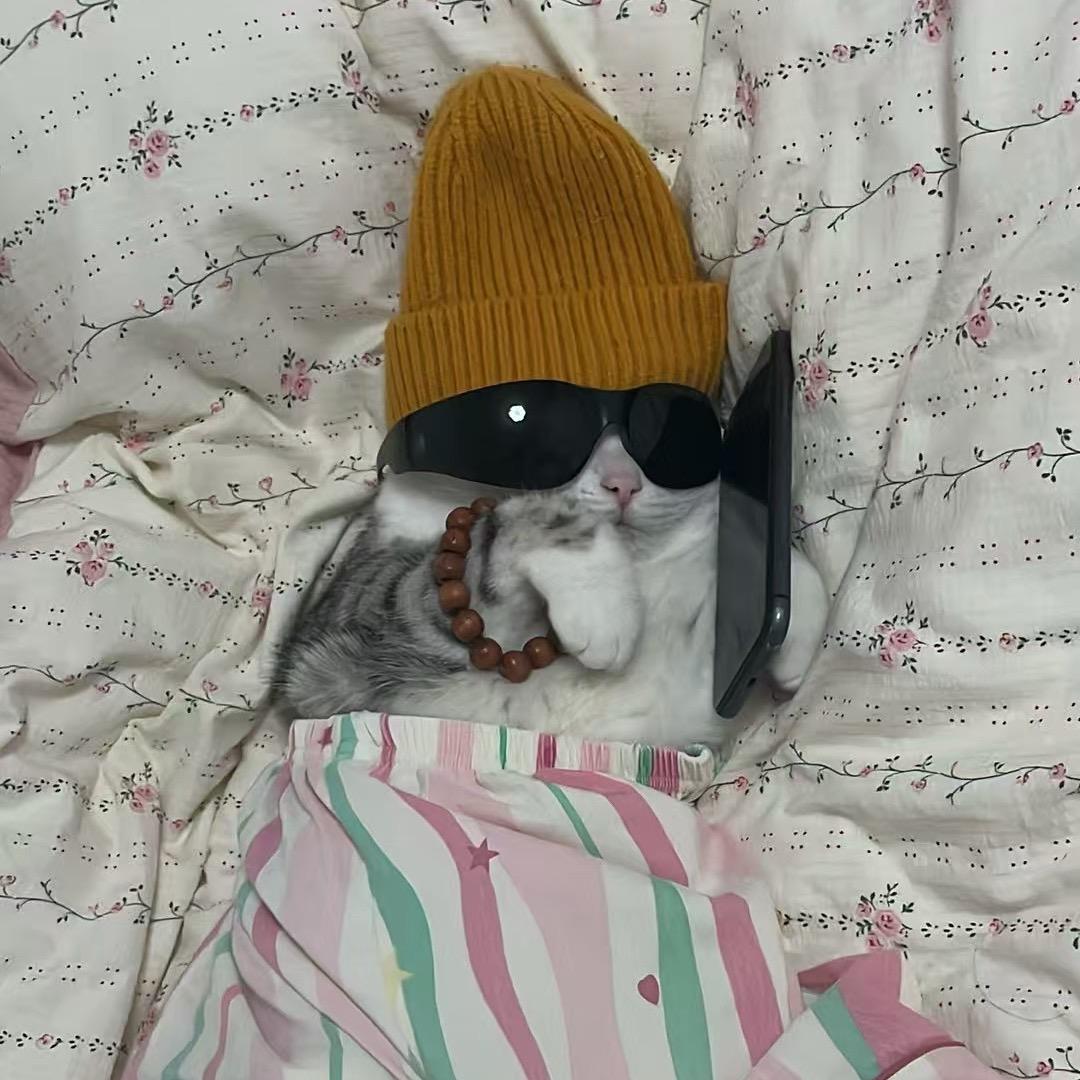 就叫嘎嘎（四只猫版）