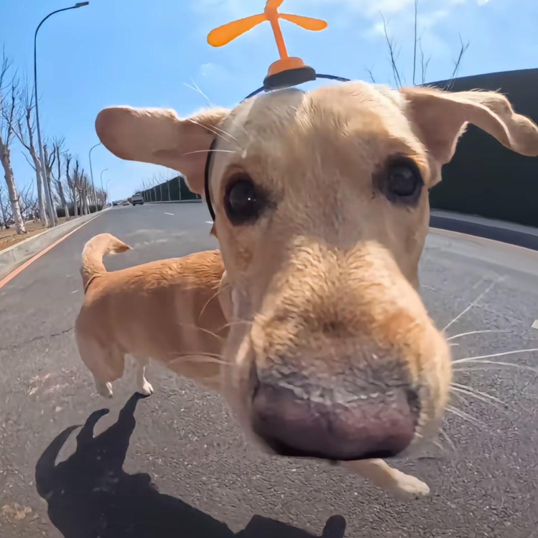 游艇上的星期天