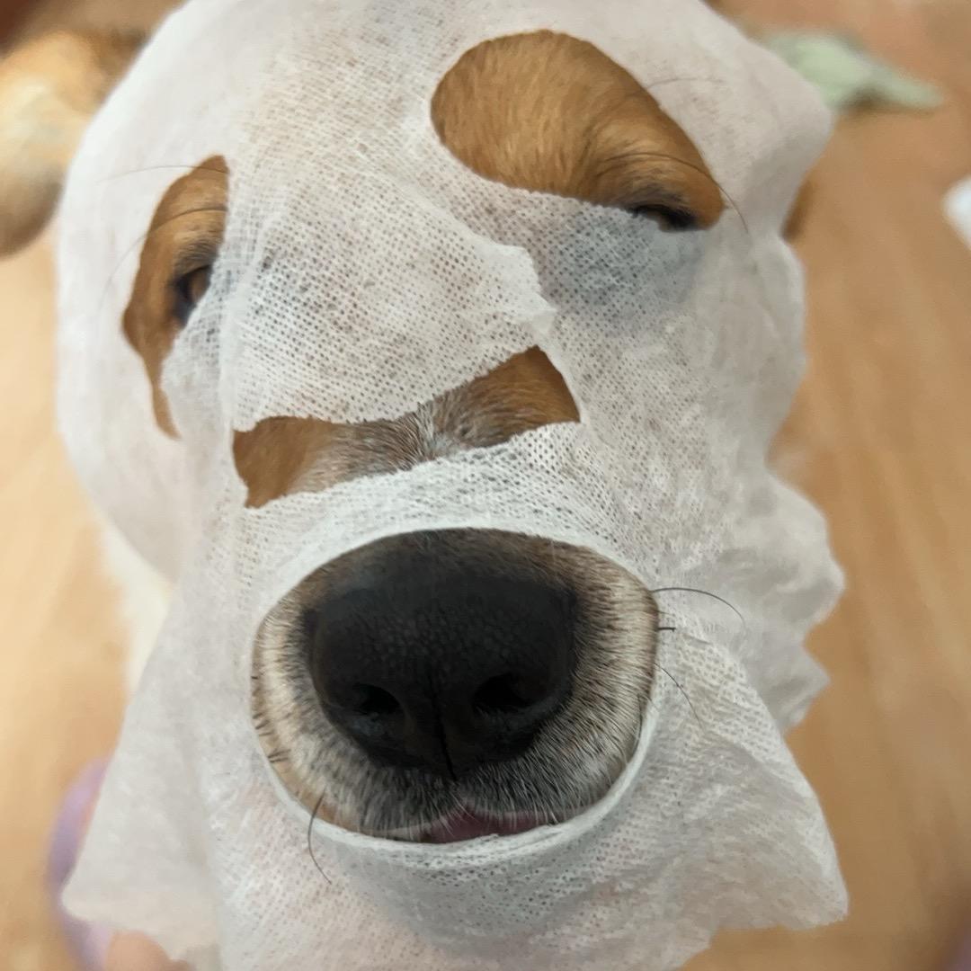 美怡