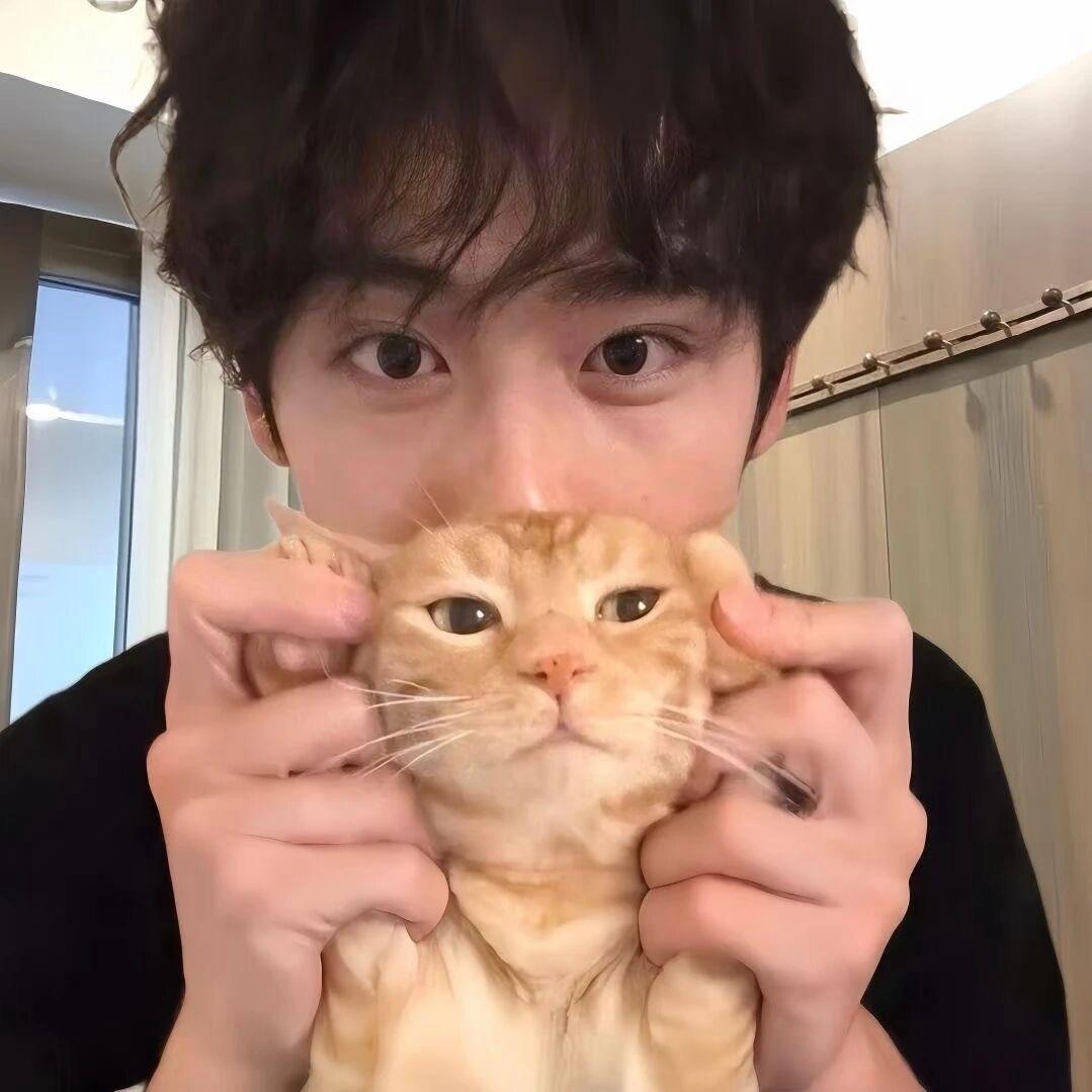 。。。。。。。。。