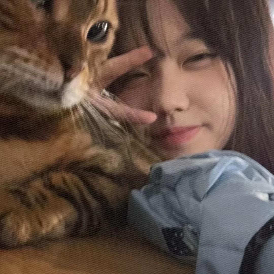 👀大斐