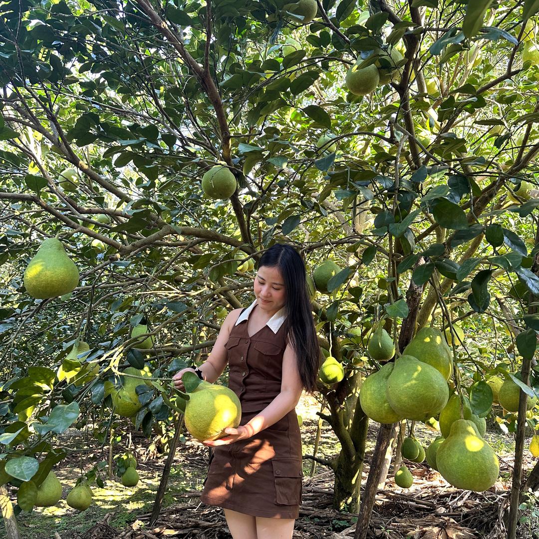 鲜果优选