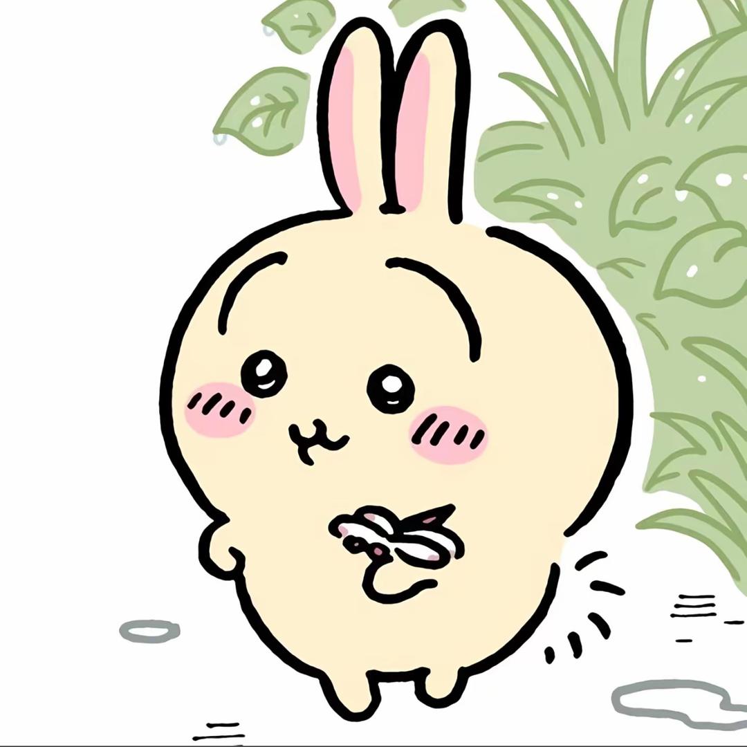 很妙妙