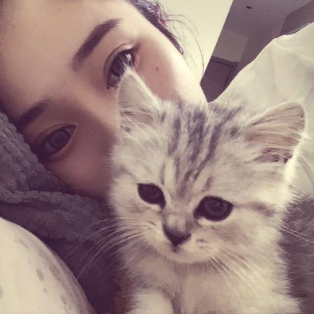 ˗ˏˋ🩵ིྀ ˎˊ˗