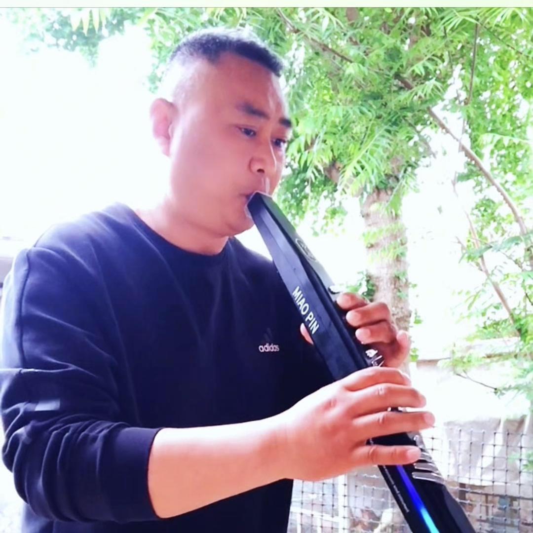 森之歌乐器
