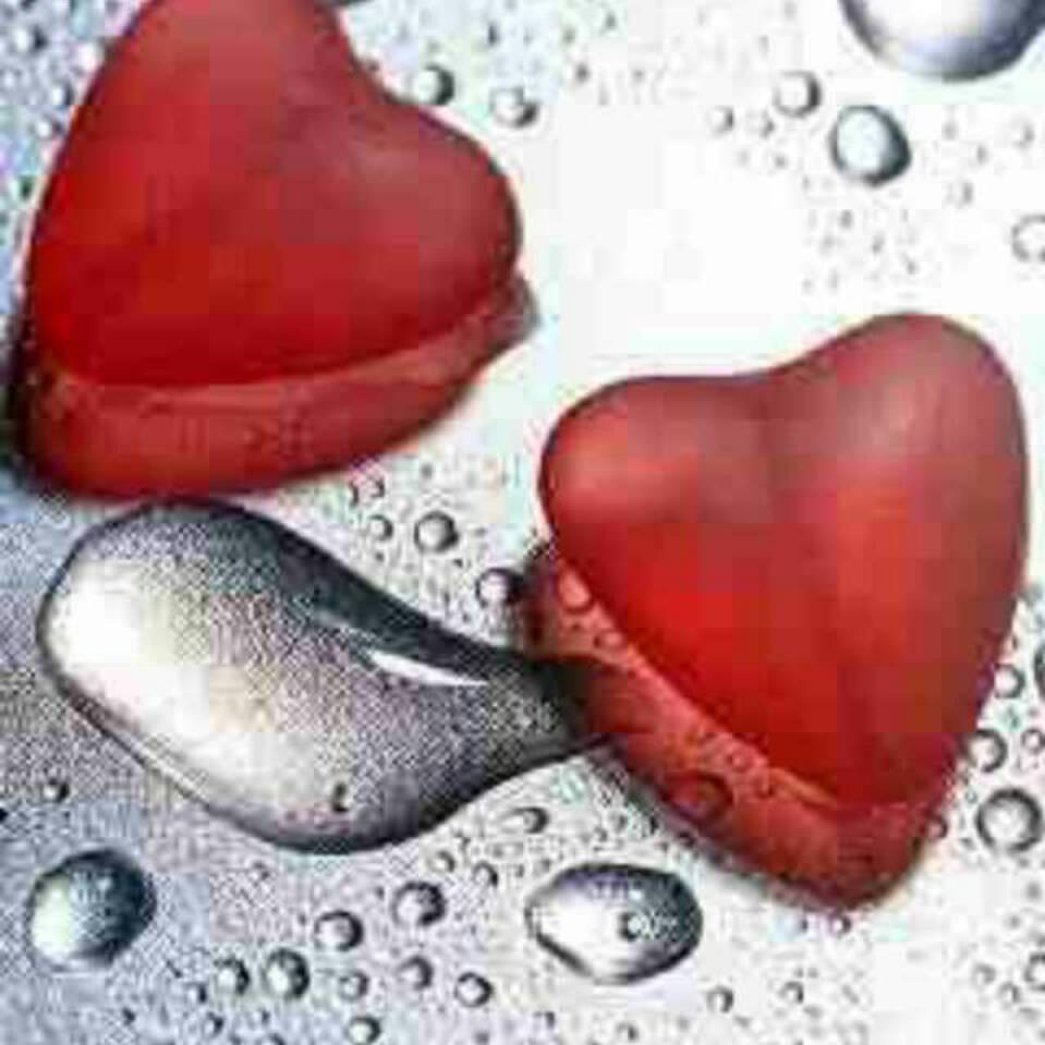 🍃溜走时光《橱窗好物》