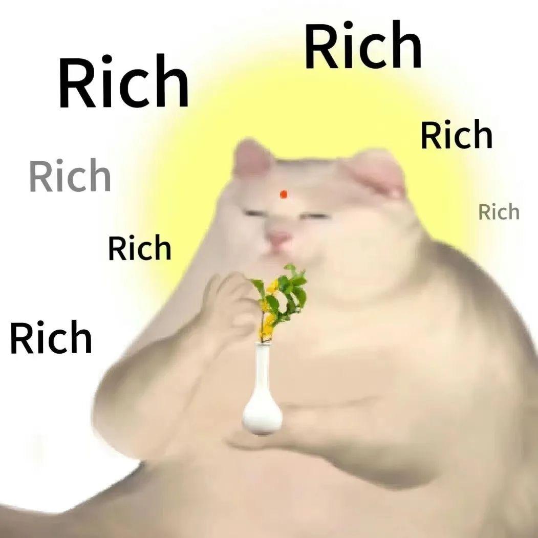 人间犟种🍼