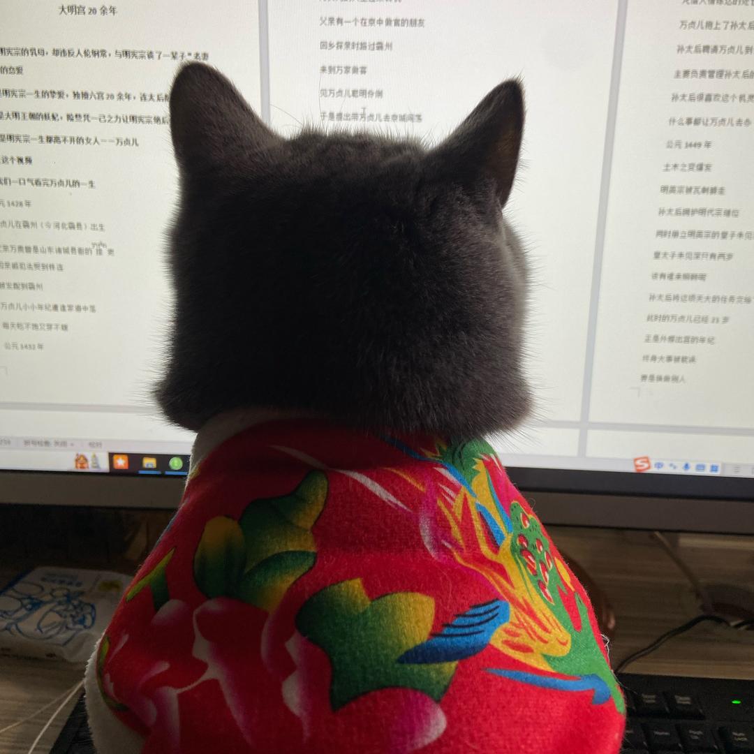 麦苳