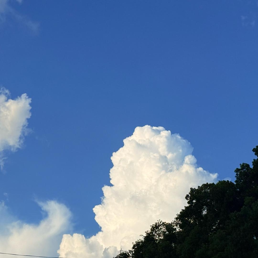 止水