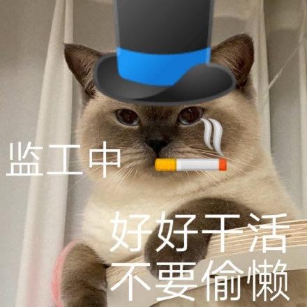 蛙蛙的叶