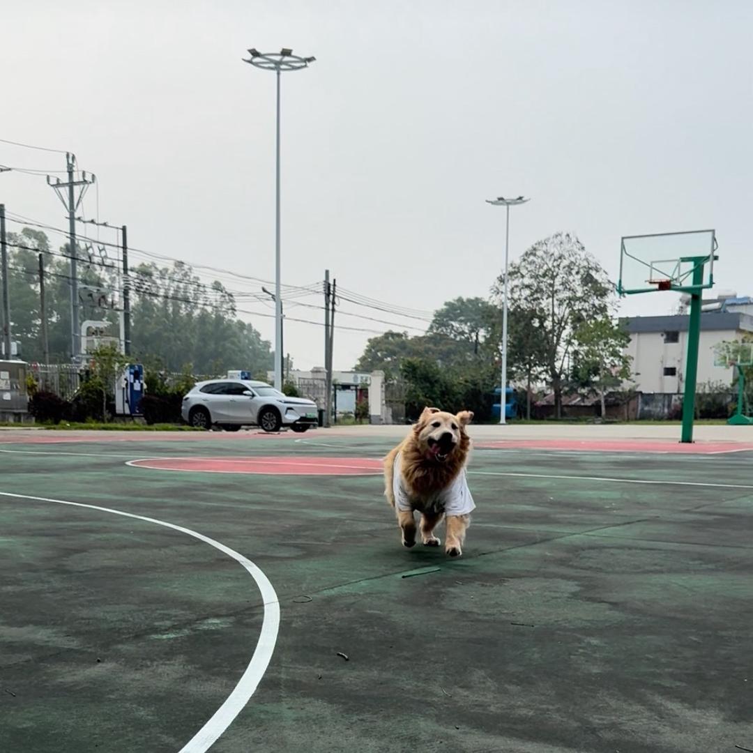跟着大海跑