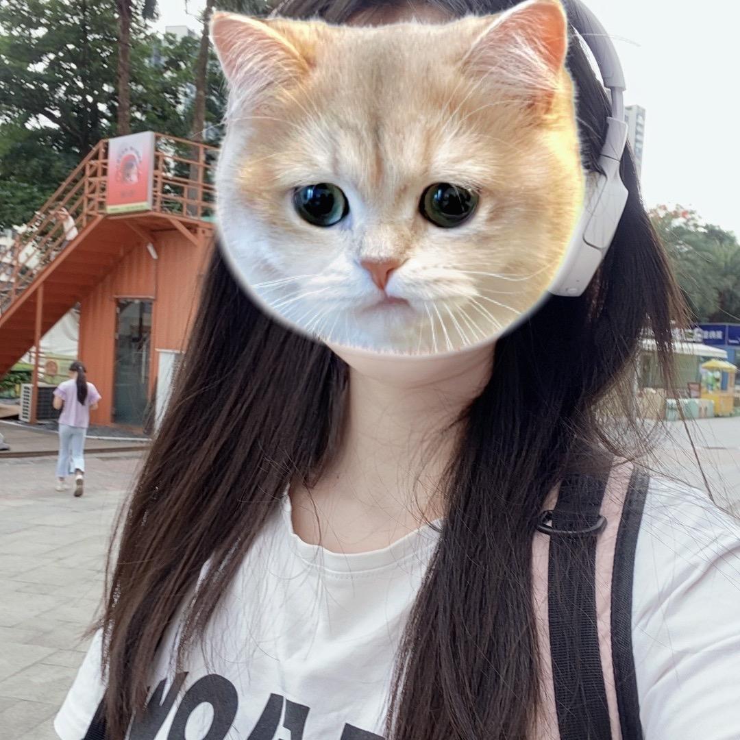 菠萝小雨