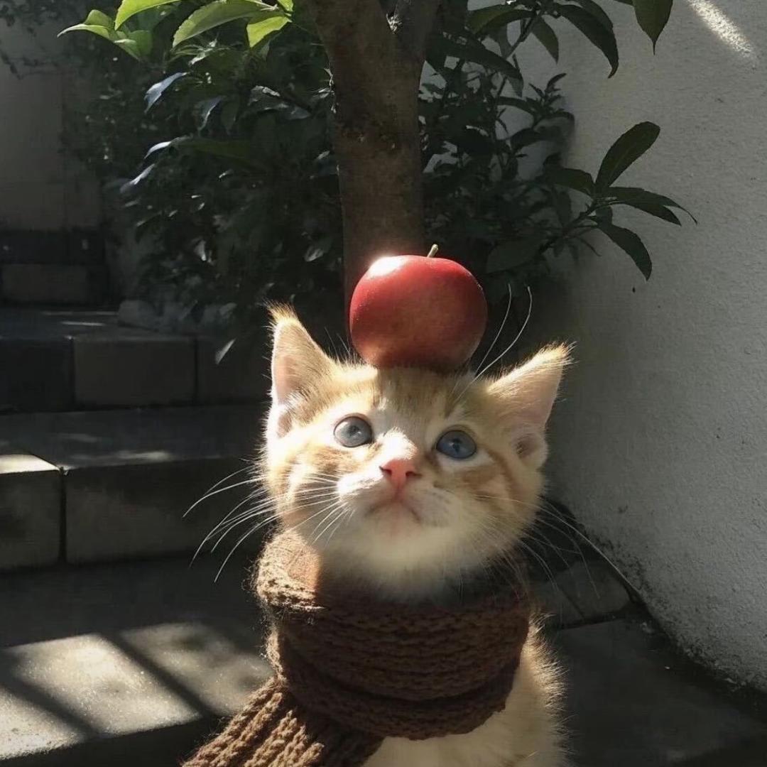 嗯呢心茹🫧
