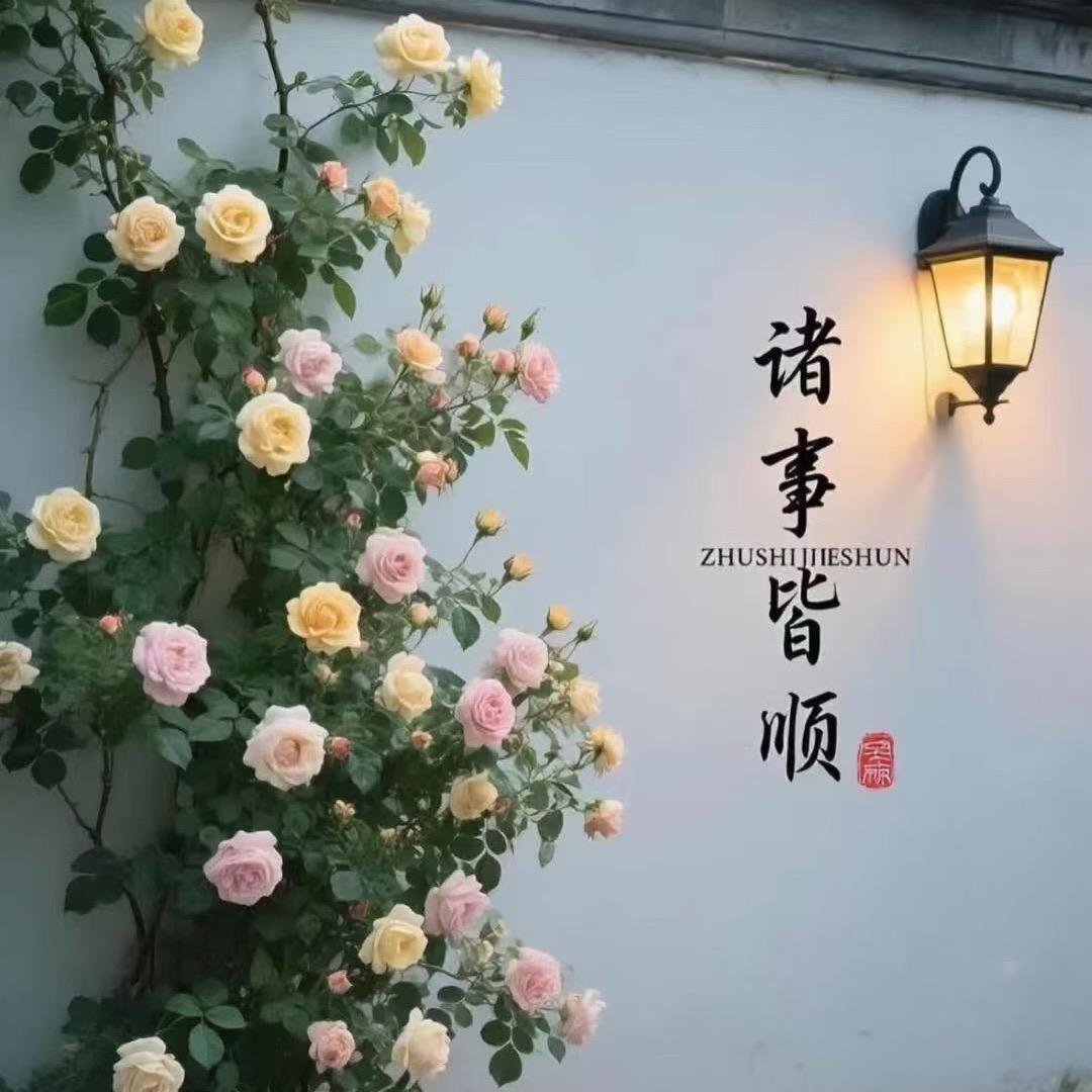 缘来如此