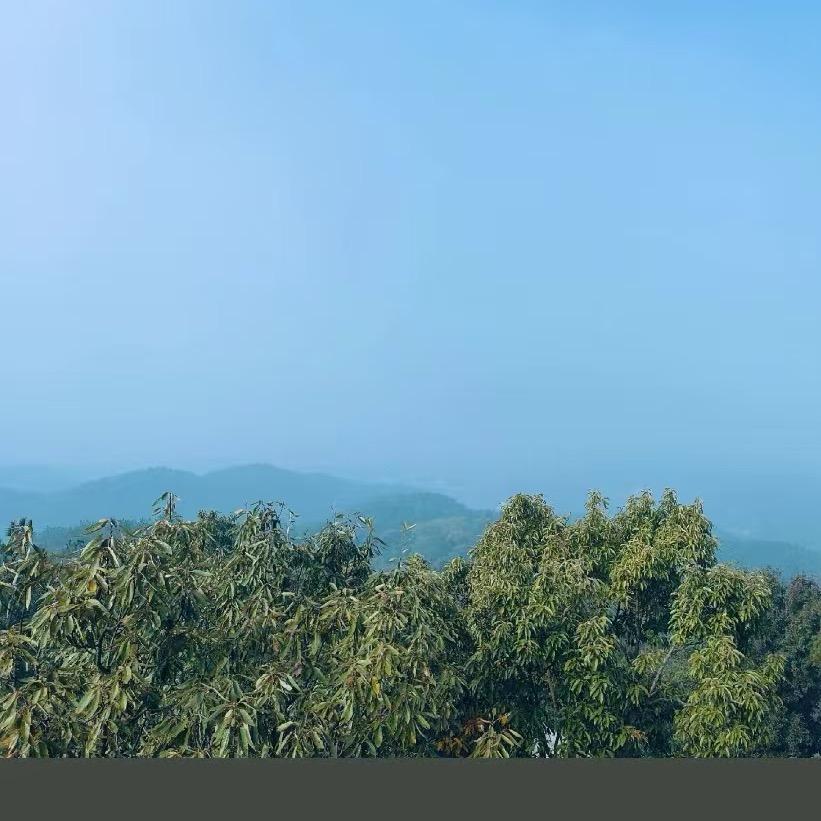 许昌超市茶叶优选