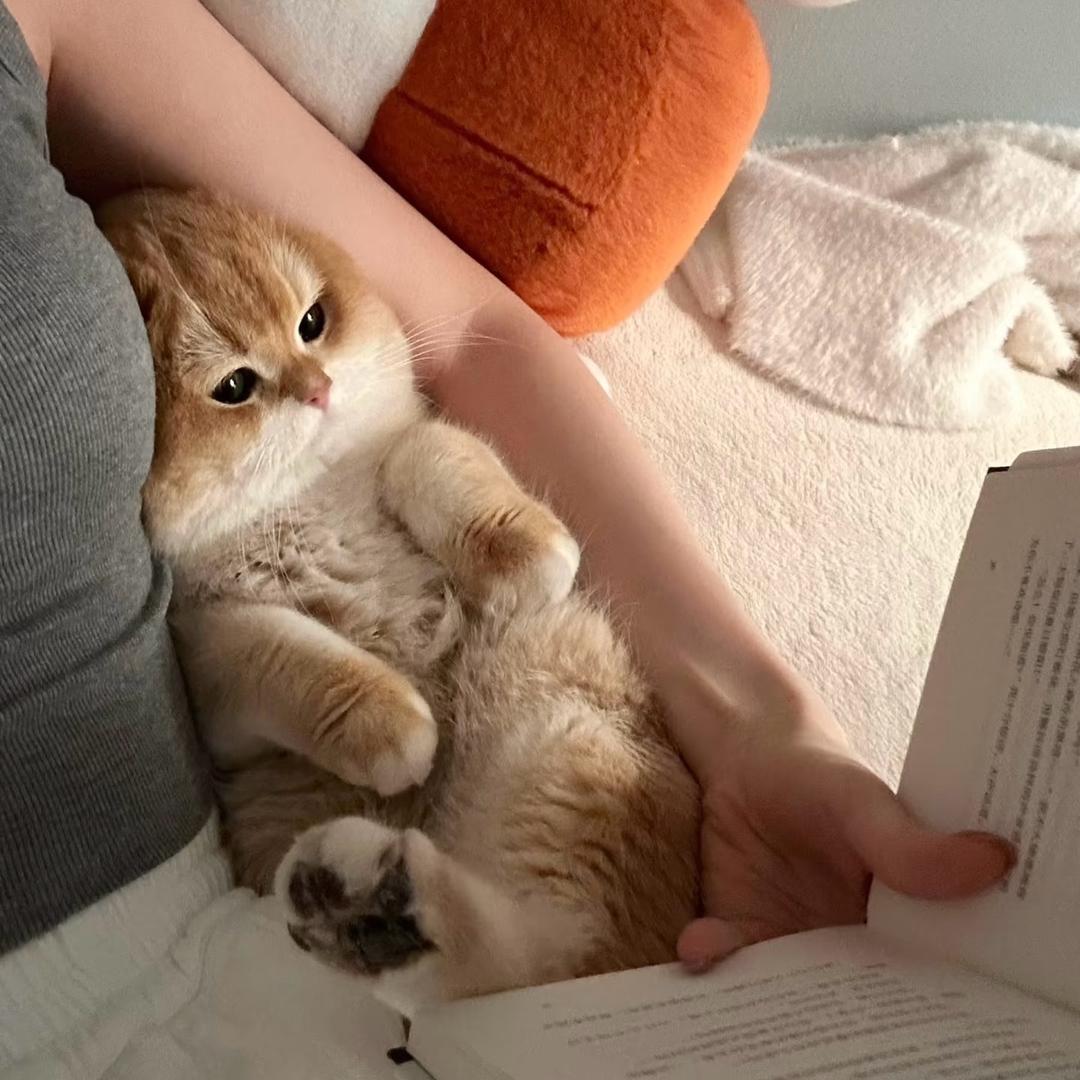 𝗪𝘄𝘄