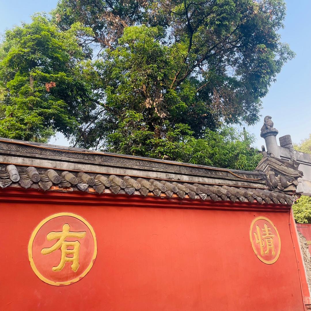 沧渊