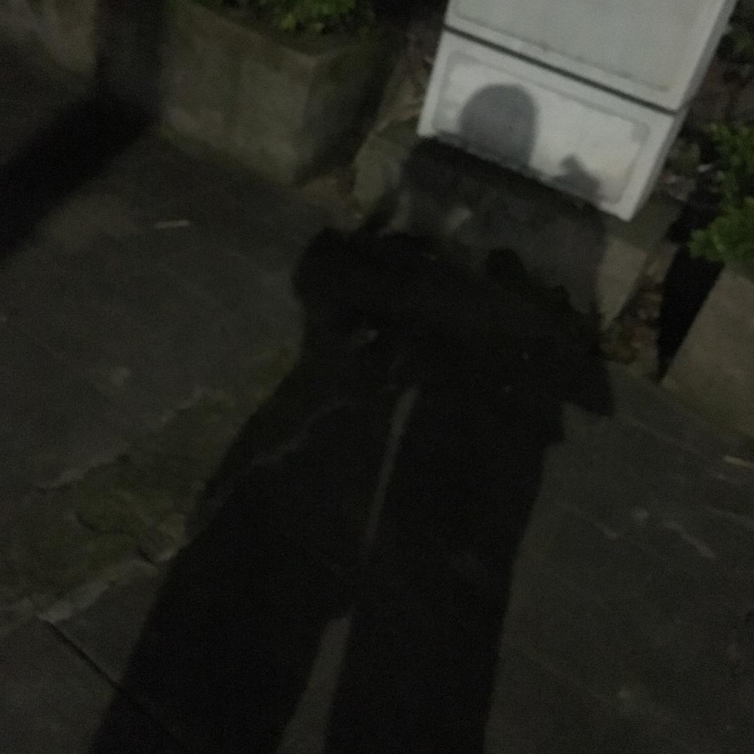 妮妮的大哥