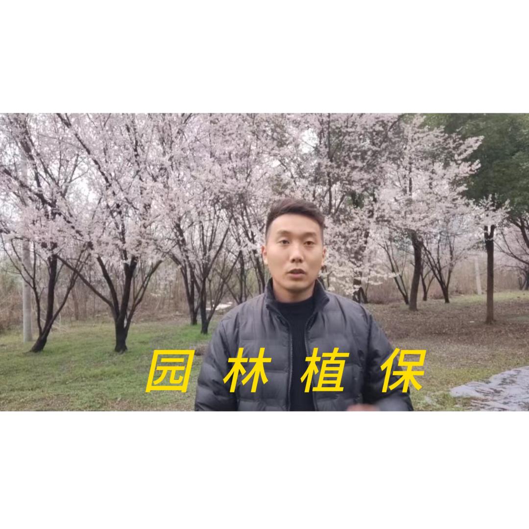 园林植保冀老师