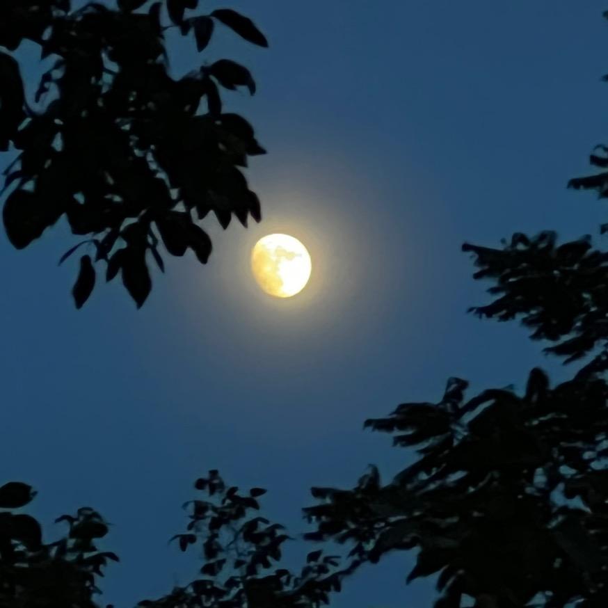 秦小勇山货精选