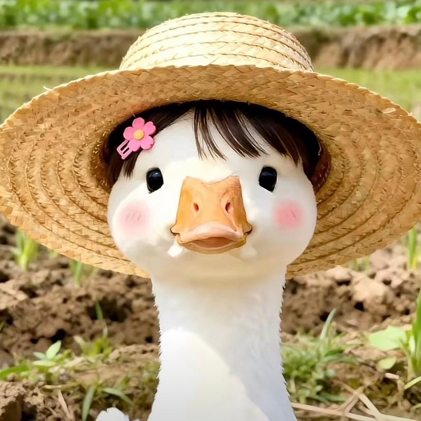 理理在农村
