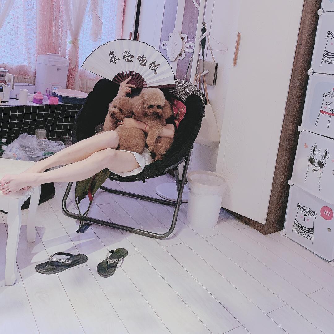 @仙女不讲李🍃