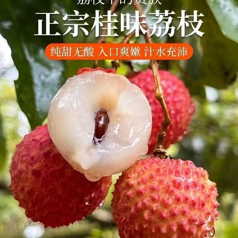 赞诚润森优选