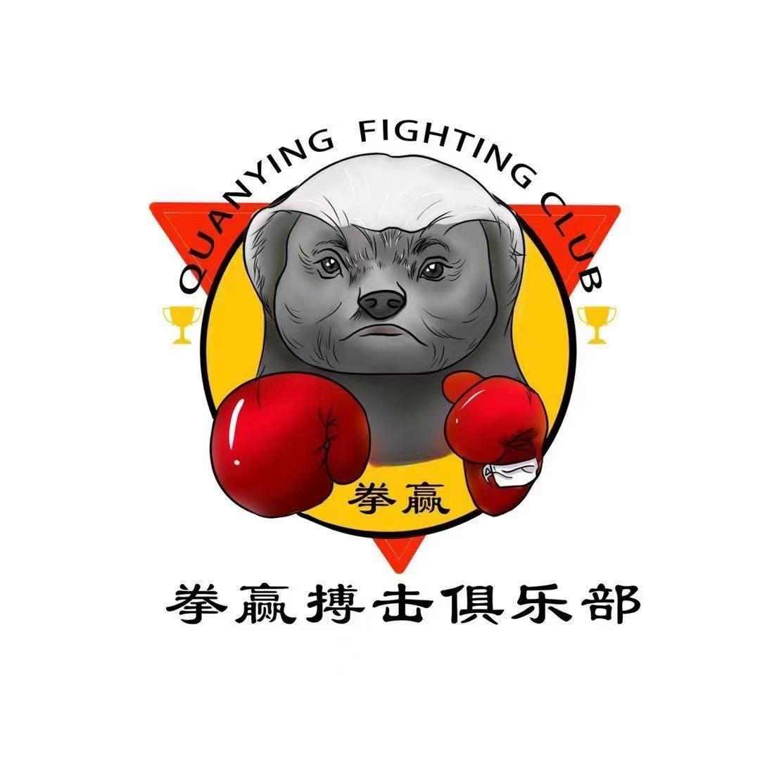 月入两万之我在拳赢当教练拳赢散打搏击