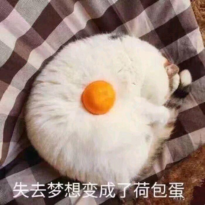 云深不知归处