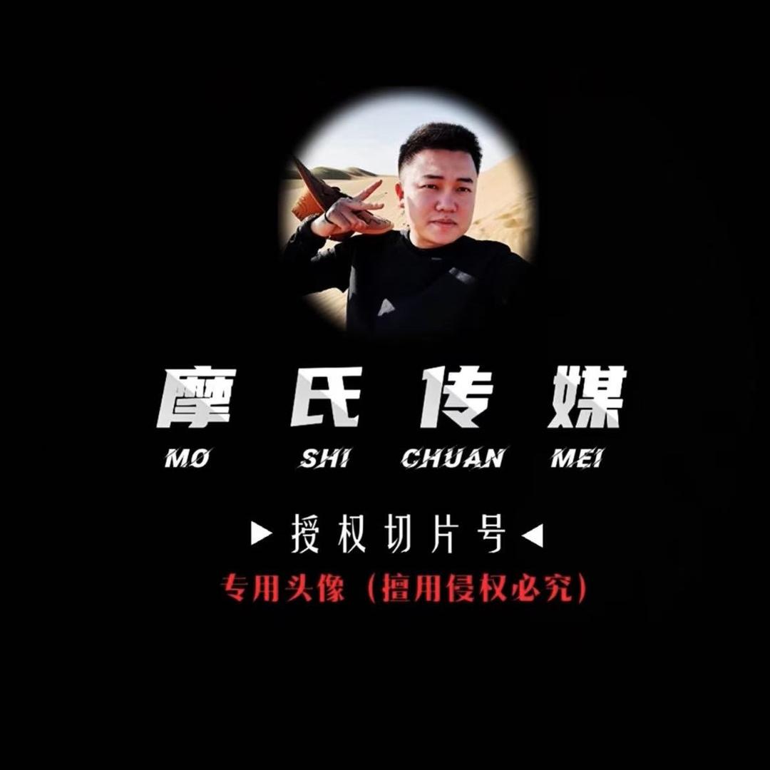 达摩切片-开心果