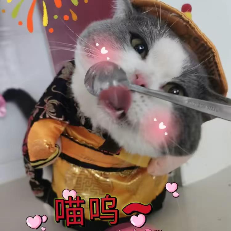 喵呜～喵喵喵