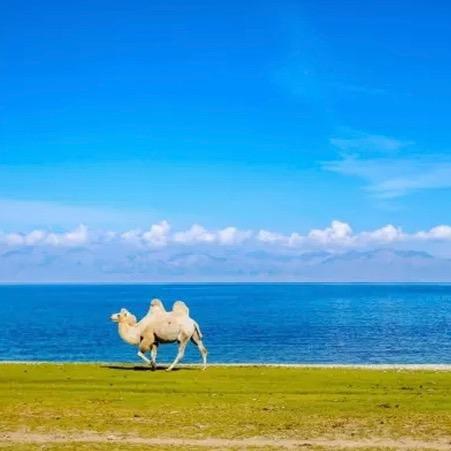 主要有你亲爱的